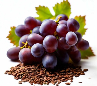 Экстракт виноградных косточек сухой